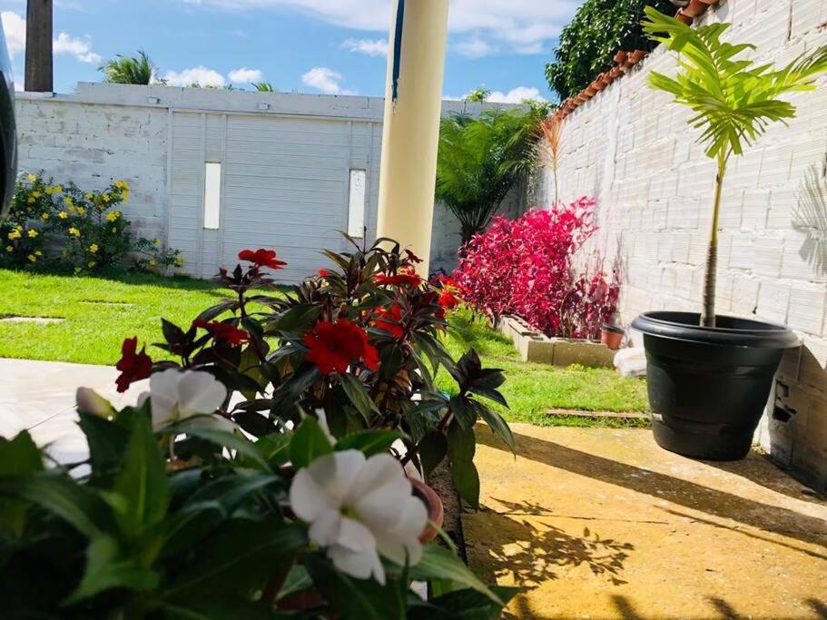 Casa Em Barreirinhas 01 Exterior foto